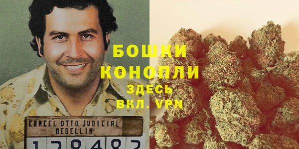 гидропоника Карталы