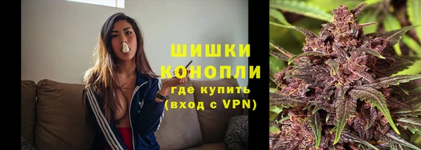гидропоника Карталы