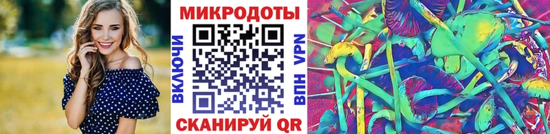 Купить закладки Новозыбков Псилоцибиновые грибы GOLDEN TEACHER